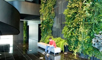 Những lợi ích từ văn phòng làm việc xanh dành cho dân văn phòng